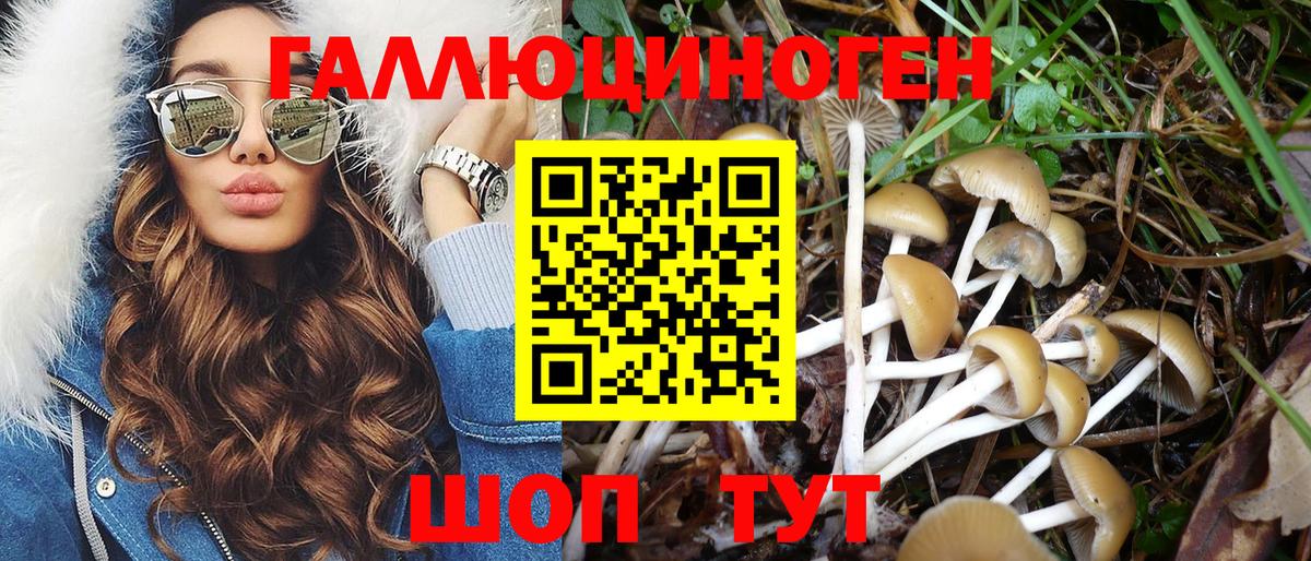 Галлюциногенные грибы Magic Shrooms  Вход с VPN  Качканар 