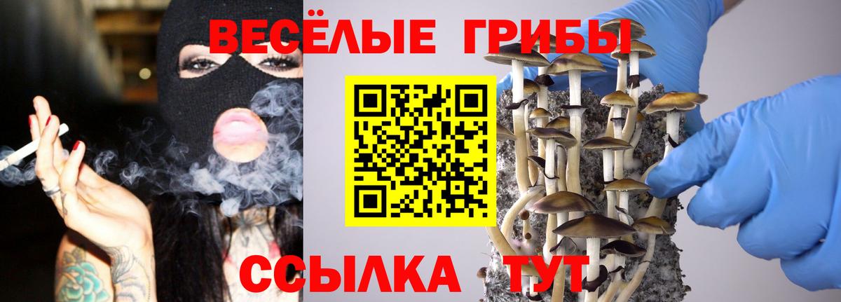 Галлюциногенные грибы MAGIC MUSHROOMS Качканар
