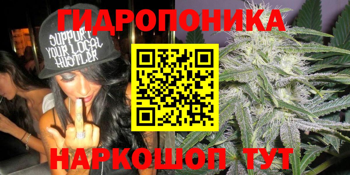 Качканар  Конопля тримм  Шишки марихуана тримм  Бошки марихуана марихуана  Вход с VPN 